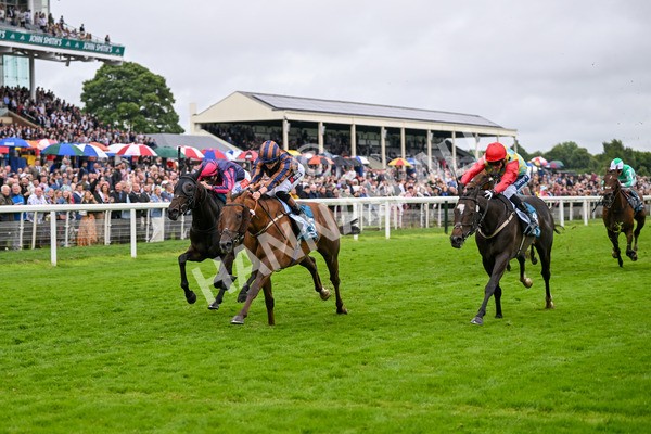 130724-Race 6-Zimmerman-7696 - Race 6 4.50pm John Smith's Stayers' Handicap