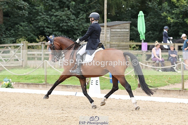 240810-151543-03948 - 231-Louise.Hutchinson-Donnarella