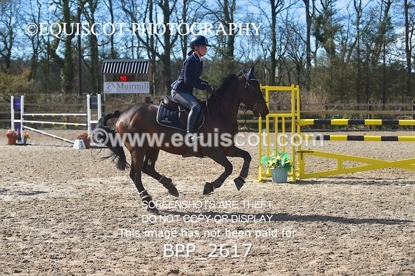 BPP_2617 - CLASS 28 48cm Pony Royal Highland Show Championship Qualifier