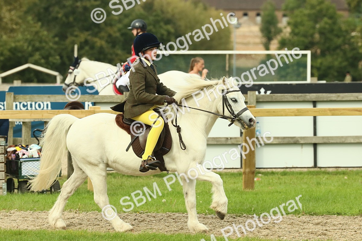 SBM_69908 - S59 - Mountain & Moorland Ridden Small Breeds