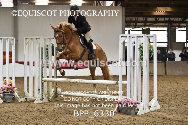 BPP_6330 - CLASS 2  Club/ Unaffiliated 80cms Open