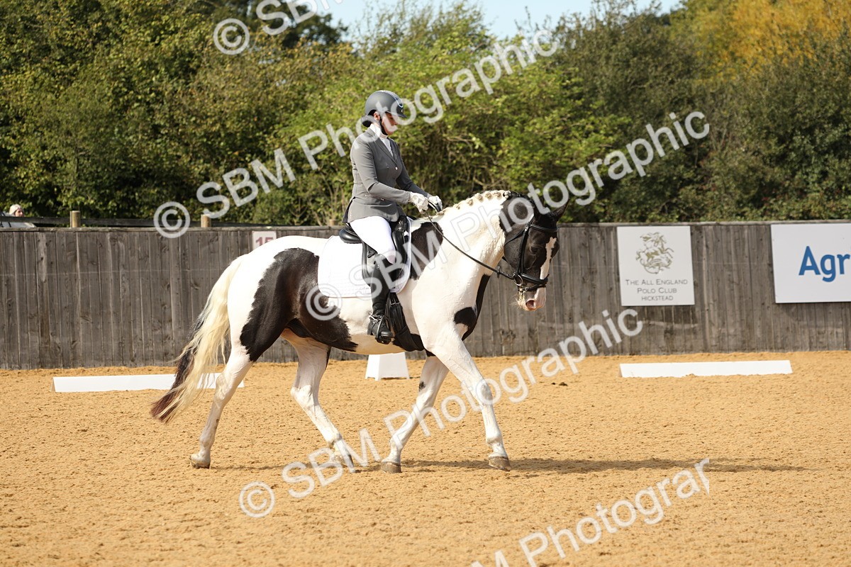 SBM_22243 - D17 - Grand Tour Championship - Novice 27