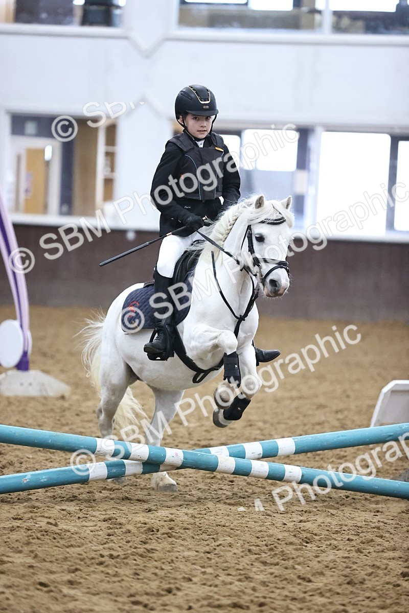 SBM_000065 - Class 1 - Fox Farriers 30cm