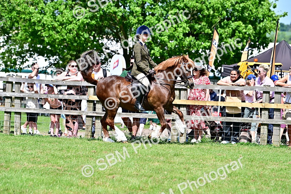 SBM_07891