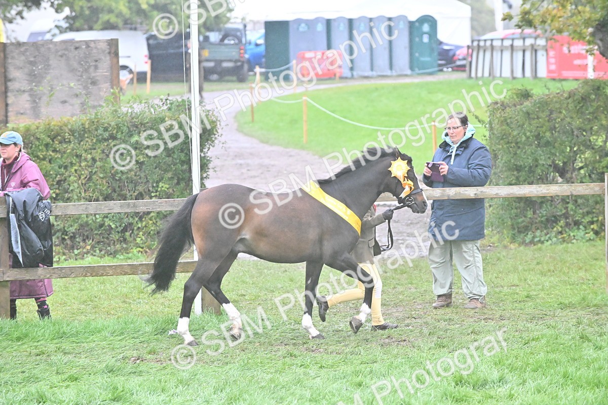 SBM_72158 - Equitation Supreme Championship