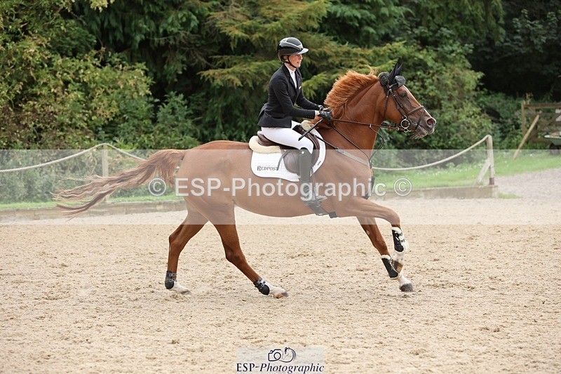 240817-155625-02417 - 06A Snr Fox 1.20m open