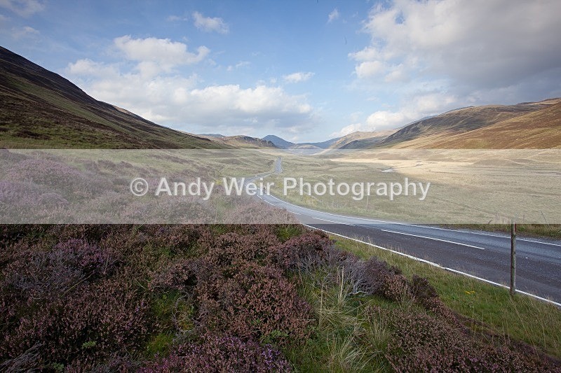 20110928-_MG_6542 - Scotland