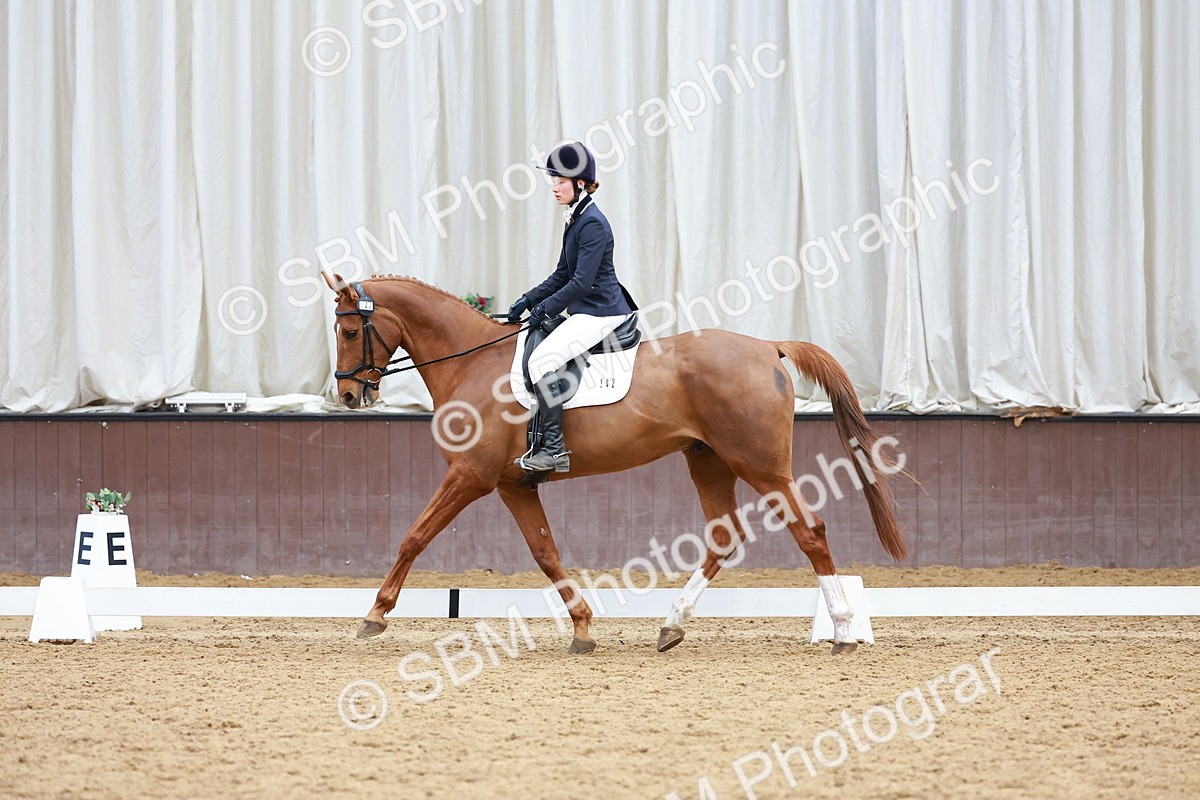SBM_003444 - Class 11 - Novice 2