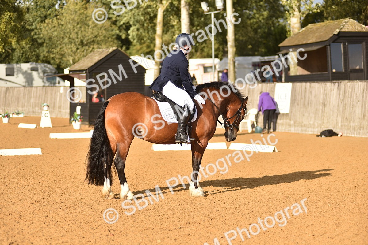 SBM_29668 - D16 -Small Tour Championship Novice 2