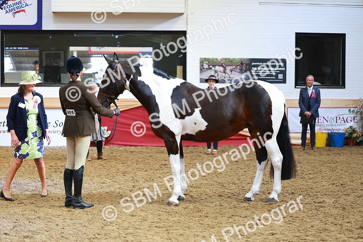 SBM_09802 - Class 102 - HOYS Veteran Qualifier - Ridden Veteran