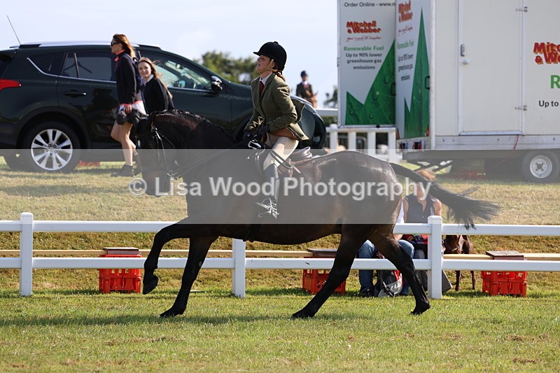 3E7A8660 - Class 3: Rising Star S/L Hunter