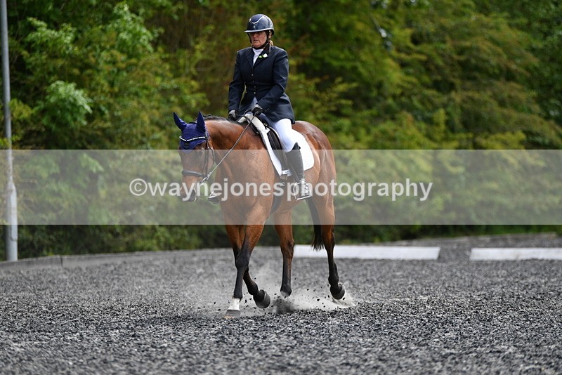 WJ5_1643 - Time 14:20 to 15:01