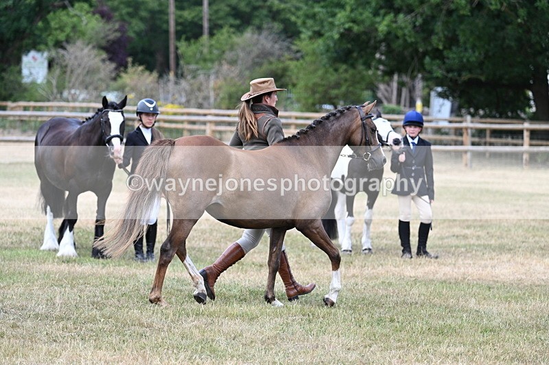 WJ7_1538 - Class 4 Prettiest Mare up to 14.2hh in hand