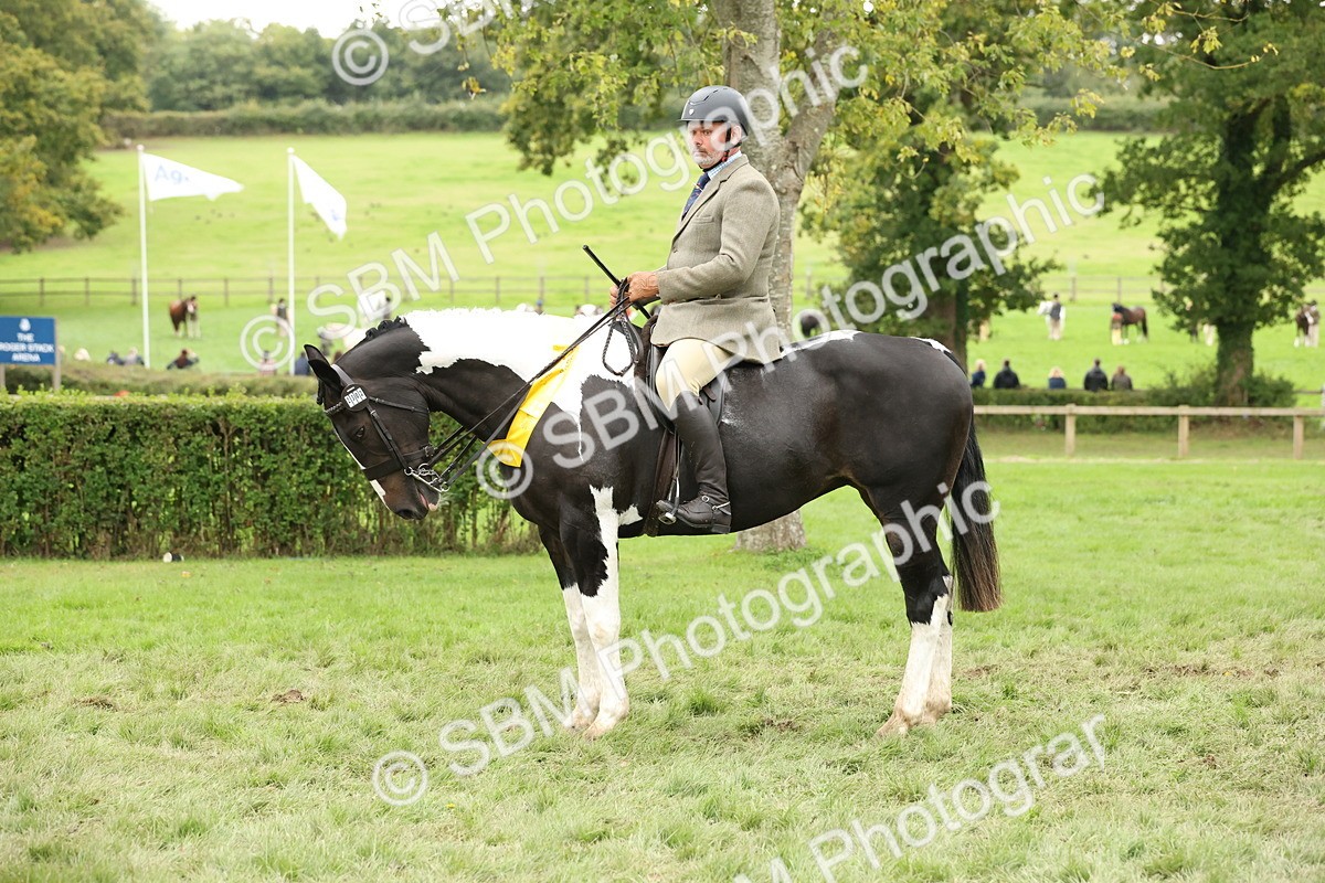SBM_67318 - S67 - Piebald & Skewbald Horse Ridden
