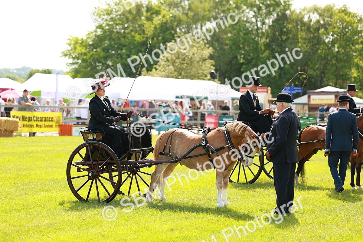SBM_02616 - Class 2-4 - HOYS Private Driving