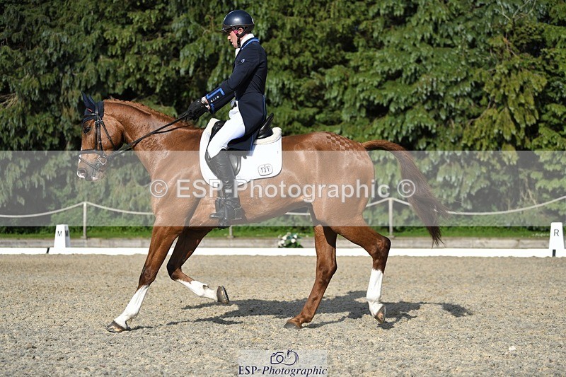 230525-175016-03619 - 131-FORTSIDE_COBRA-Freddie_Carden-WEDTrotUp+DR