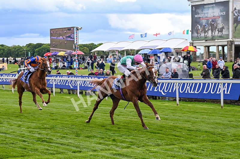 140526-Race 5-Item-5589 - Race 5 4.05pm Al Basti Equiworld Dubai Dante Stakes