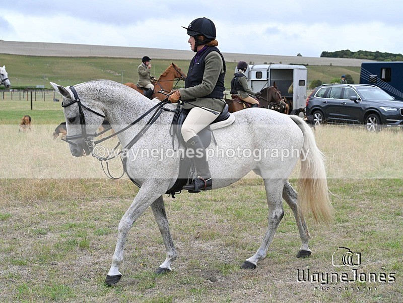 WJ7_0686 - Berks & Bucks Hound Exercise Blewbury 13-09-26