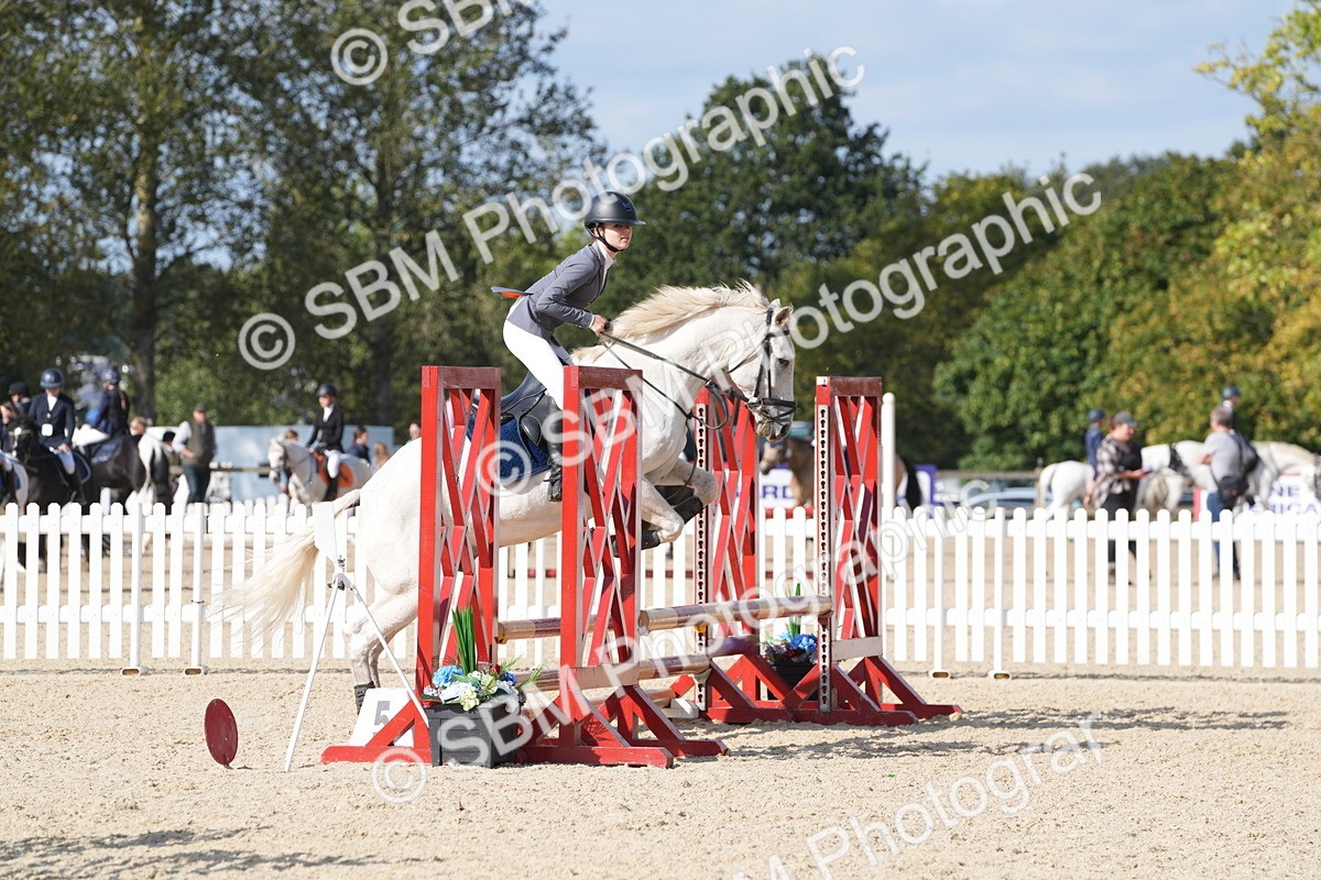 SBM_48654 - J22 - Junior Horse 65cm Championship