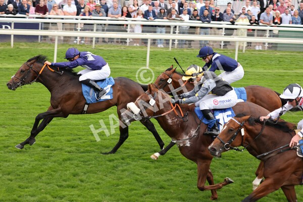 yr18082021r7-21 - Race 7 5.20pm Sky Bet Nursery Handicap