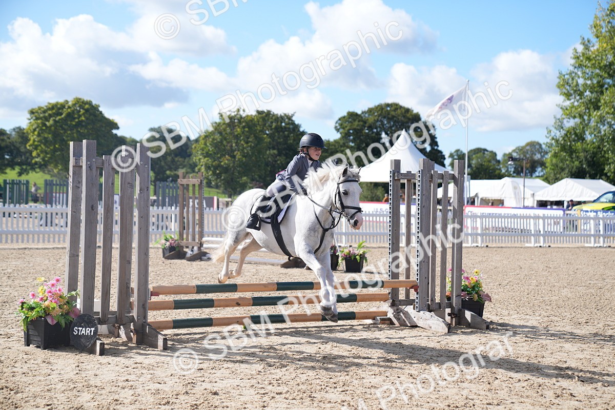 SBM_02458 - J54 Clear Round 45cm