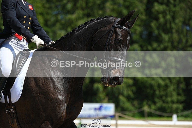 230526-141247-06938 - 482-BROOKFIELD_CAVALIER_CRUISE-Piggy_March-DR