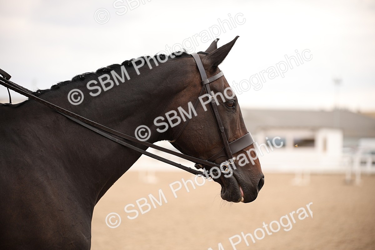 SBM_05439 - Class 22 SSA Equitation