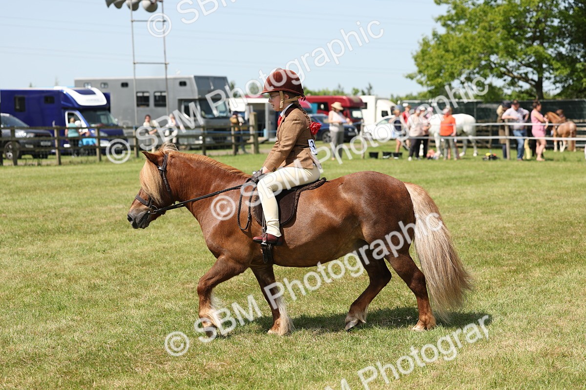 SBM_05332 - Class 24-25 - Mountain & Moorland In Hand Lead Rein and First Ridden