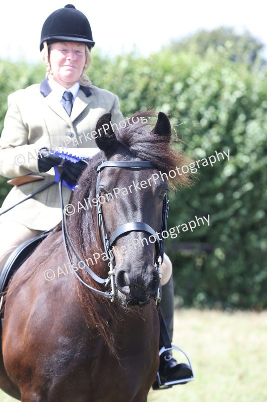 20250831-3003 - Class 19 - Mountain and Moorland