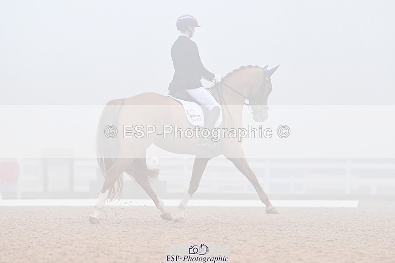 240217A-103156-01106 - 273-Tom.Carter-Newton.Dreamcatcher