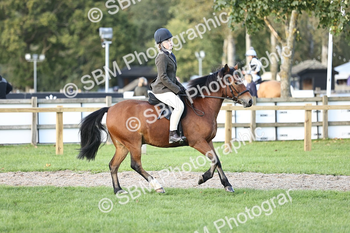 SBM_29565 - S7 - Novice & Newcomers Ridden Pony