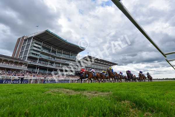 310525-Race 5-Frankies Dream-4014 - Race 5 3.50pm Reg Bond Always And Forever Handicap