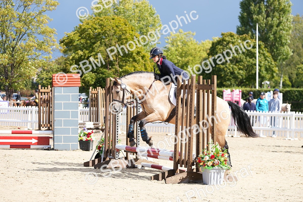 SBM_19778 - J49 - Open 50cm