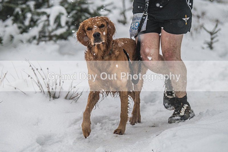 Glentress-1849 - High Terrain Events Glentress 42, 21 & 10K Trail Races Sunday 15th February 2026