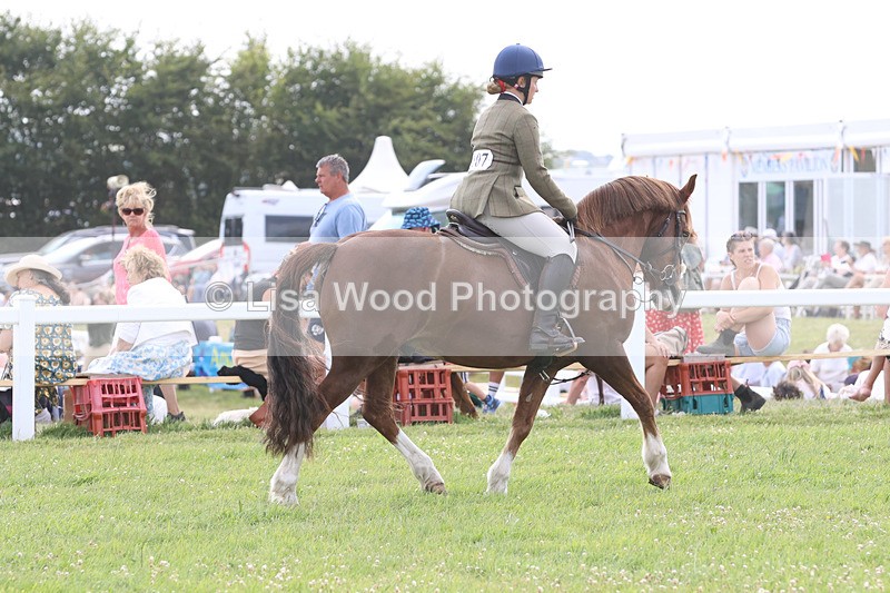 JPP_3834 - Class 23: Working Hunter 80cm