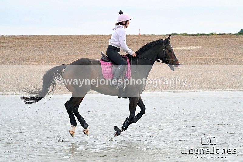 WJ7_9341 - Hayling Island Beach Shoot 22-09-24