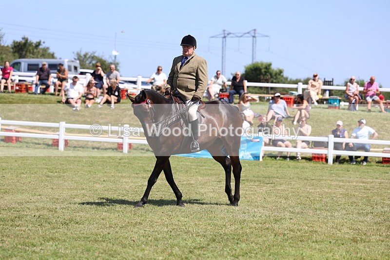 3E7A7714 - Class 7: Open Riding Horse