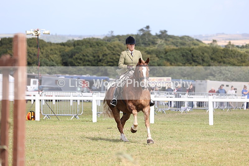 JPP_2524 - Class 20: Working Hunter 70cm