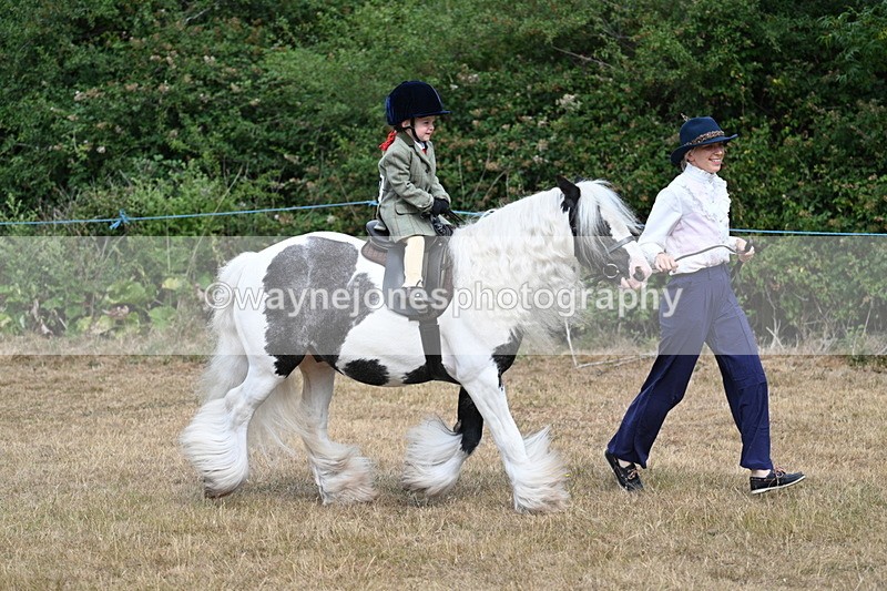 WJ7_6454 - Class 1 Lead Rein Pony