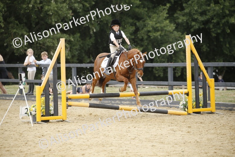 20250622-5904 - 60cm