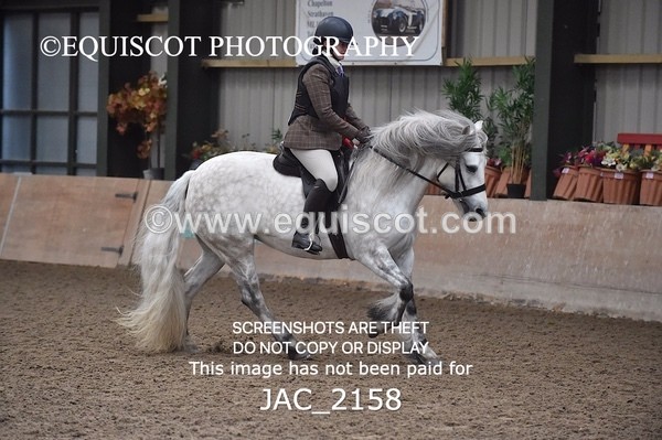 JAC_2158 - CLASS 1 Nursery Novice Working Hunter