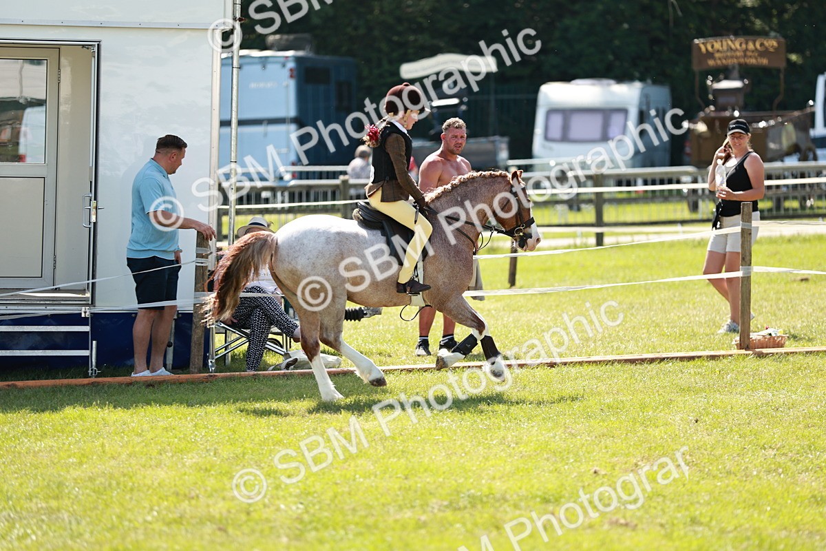 SBM_13516 - Class 108-109 - BSPS LIHS Open Gradle & Nursery Stakes