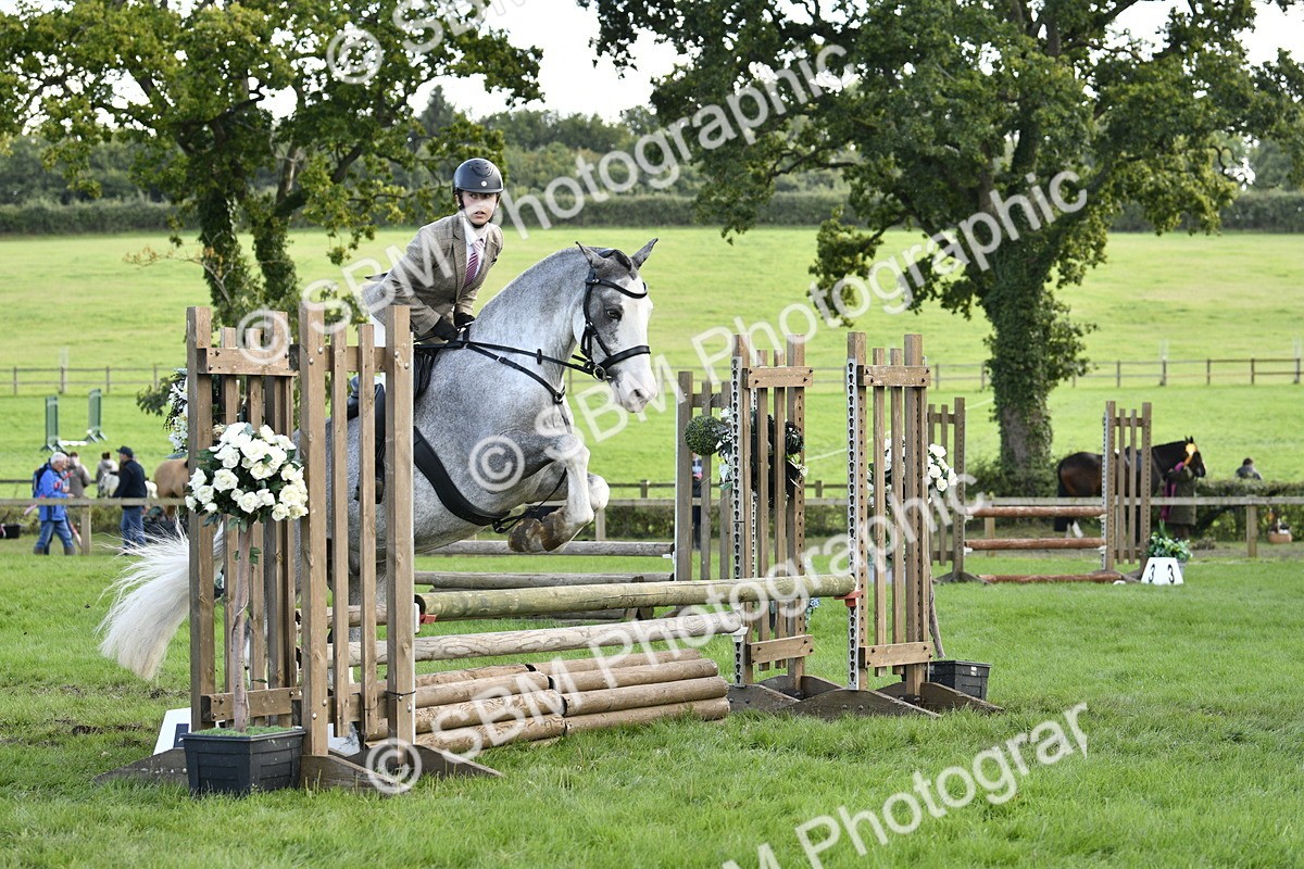 SBM_52190 - S35 - Working Hunter & Working Show Horse