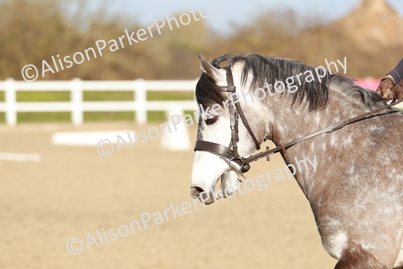 20260314-5404 - DR4 - Prelim 2