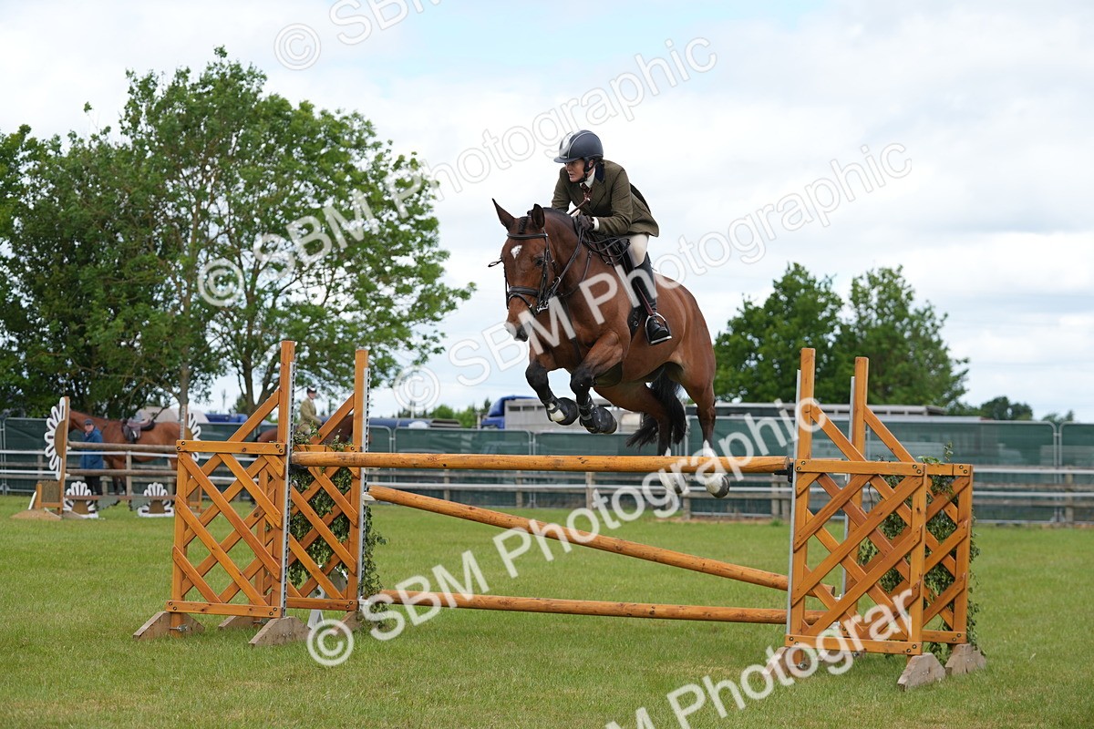 SBM_14972 - Class 100-102 - RIHS Working Hunter