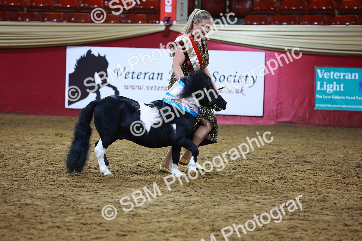 SBM_15319 - Class P - M&M Champ