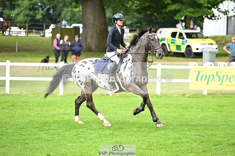 250615A-085052-09290 - Cls 35 Foxhunter