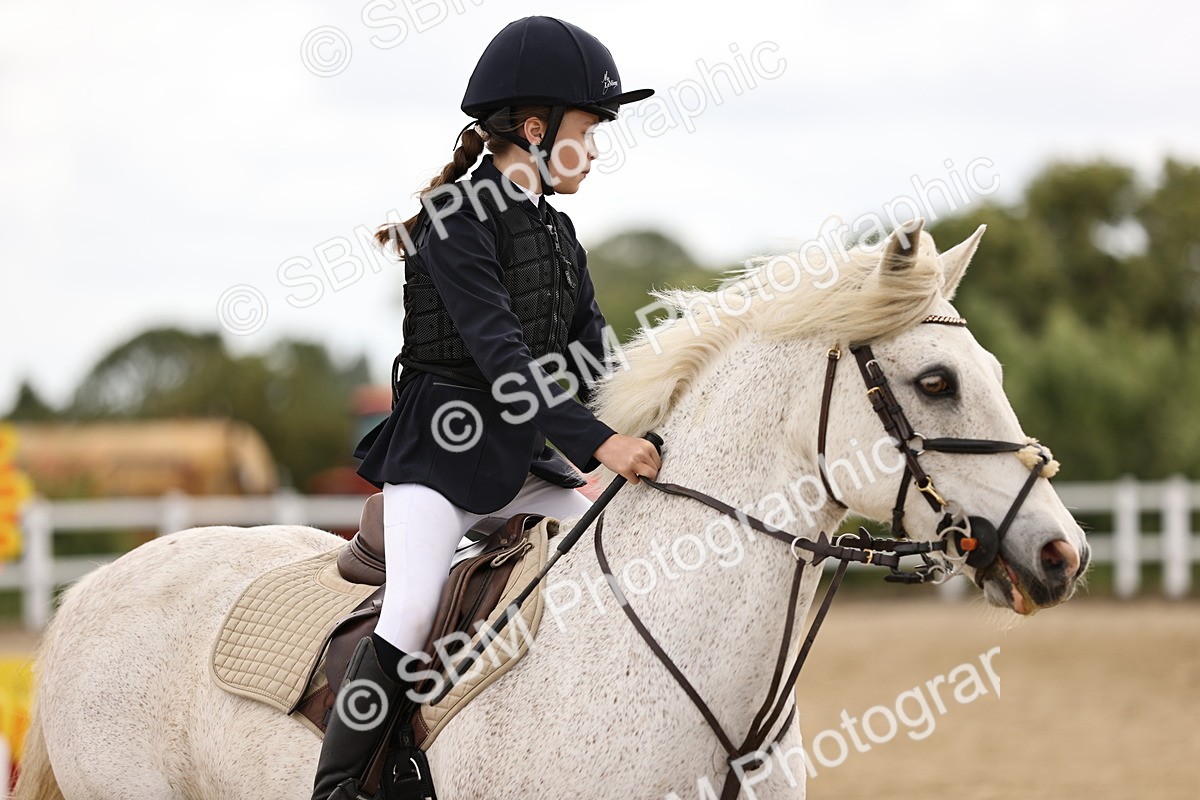 SBM_007152 - Class 2 - 80cm showjumping