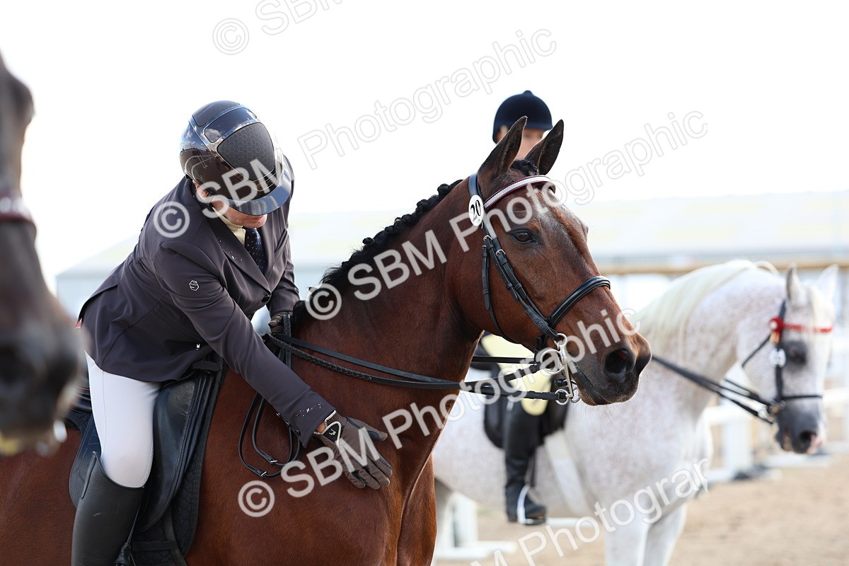 SBM_10873 - Class 305 - Ridden Foreign Breeds - Pure Bred
