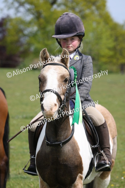 20260426-4023 - Class 33 - Best Pony 14.2hh and Under